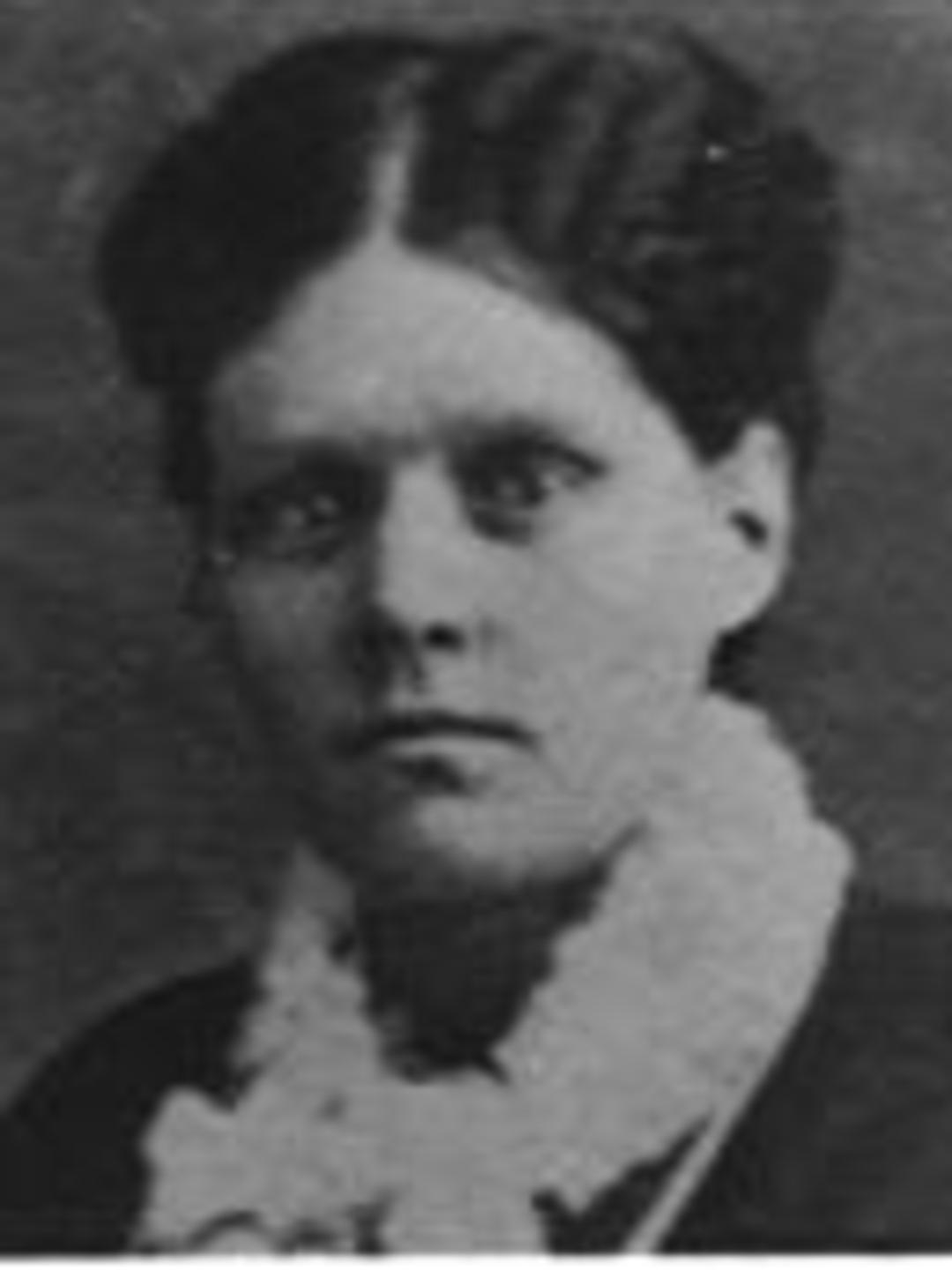 Alice Rebecca Curfew (1859 - 1897) Profile